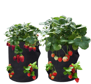 Túi vải không dệt trồng cây