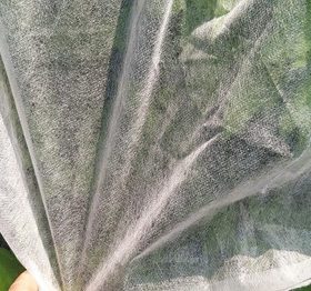 Vải không dệt PP