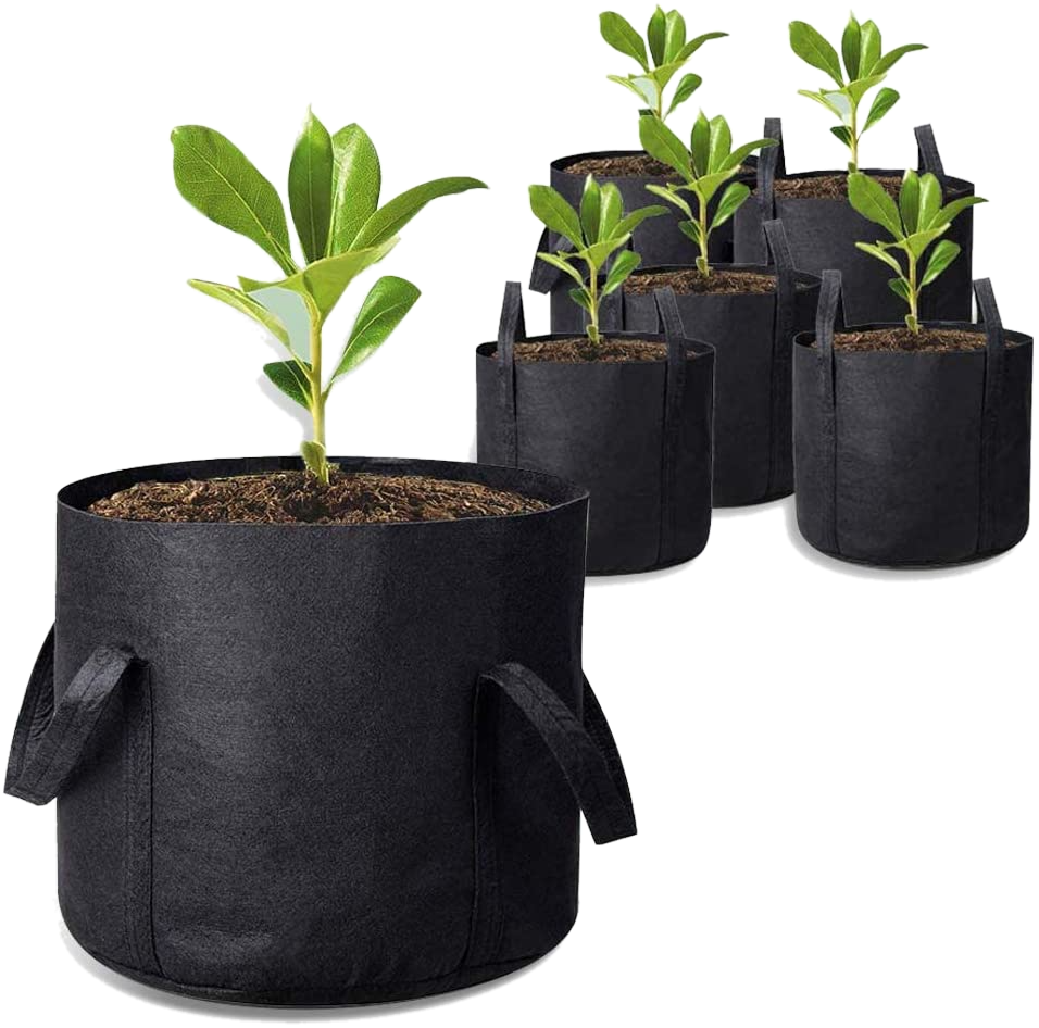 Vải không dệt PP