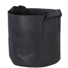 Vải không dệt PP