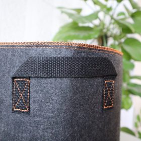 Vải không dệt PP