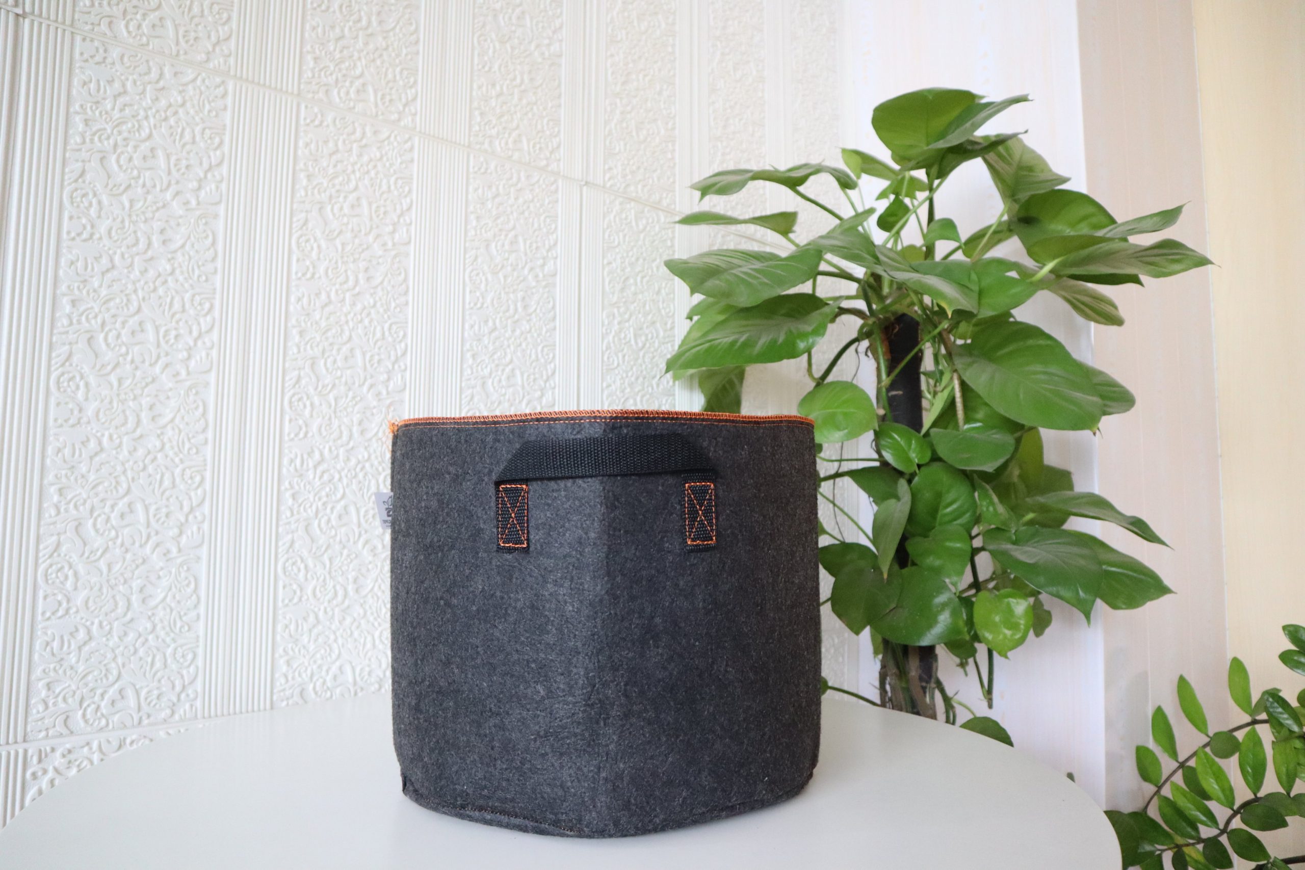 Vải không dệt PP